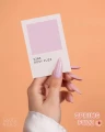 s268_rosy_fuzz_v2.webp