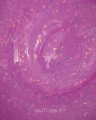 samopoziomujacy_zel_budujacy.webp