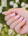 milky_top_v4.webp