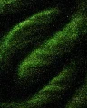 kocie_oko_efekt_zielen_1.webp