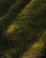 kocie_oko_efekt_zloto.webp