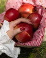Lakier_hybrydowy_Plot_Twist_ceglana_czerwień_kolekcja_Autumn_Society_Saute_Nails.webp