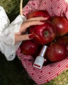 Lakier_hybrydowy_Plot_Twist_ceglana_czerwień_kolekcja_Autumn_Society_Saute_Nails.webp